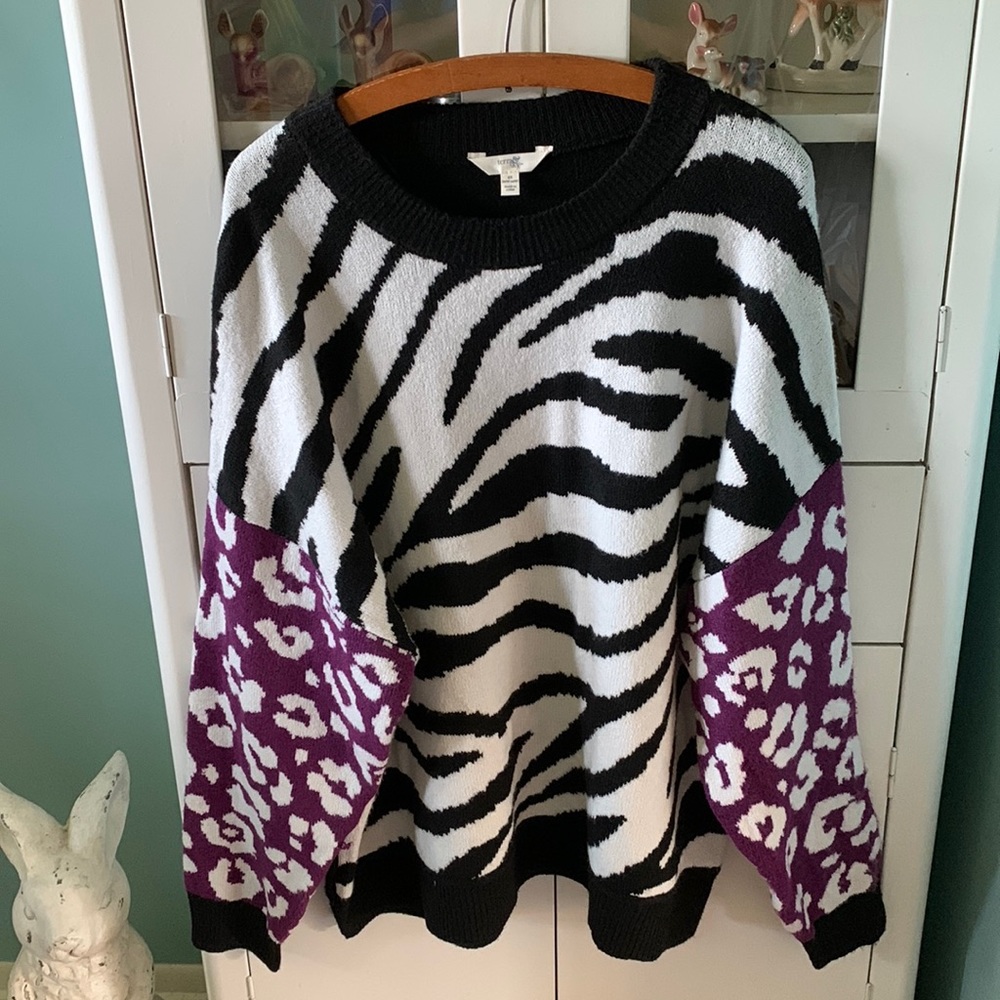 Terra & Sky sz 2X sweater oversized nwt soft and comfy!